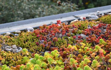 the cost of Gristhorpe green roof installation