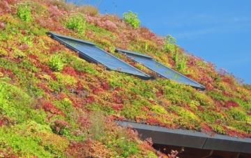 Gristhorpe living roof systems