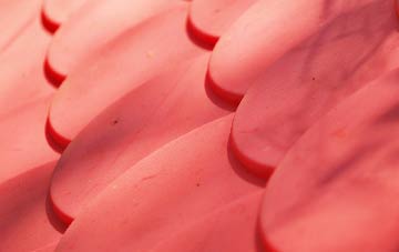 Gristhorpe plastic roof costs