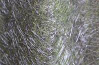 Gristhorpe fibreglass roof work